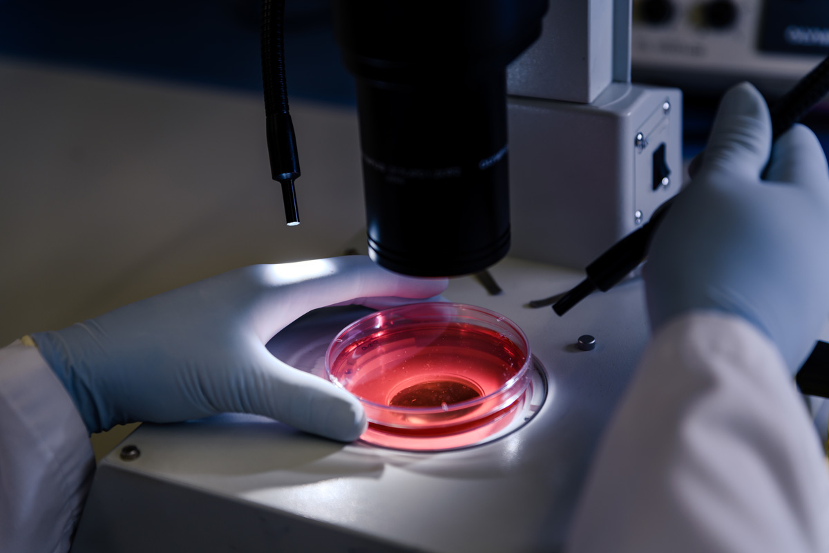 Основные направления деятельности Aeovian Pharmaceuticals Передовые технологии замедления старения: Aeovian Pharmaceuticals