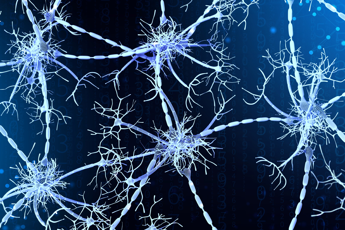 Передовые технологии замедления старения: BioAge Labs: направления исследований