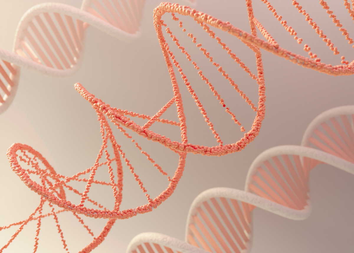 Передовые технологии замедления старения: Immunis Biomedical: направления разработки