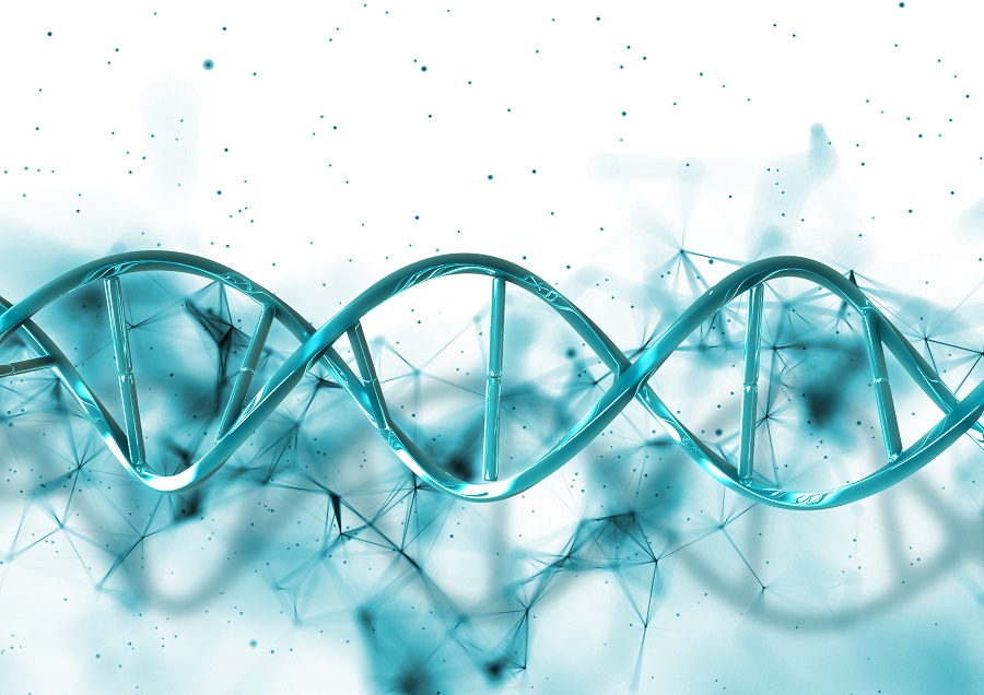 Человеческая ДНК: что это такое?