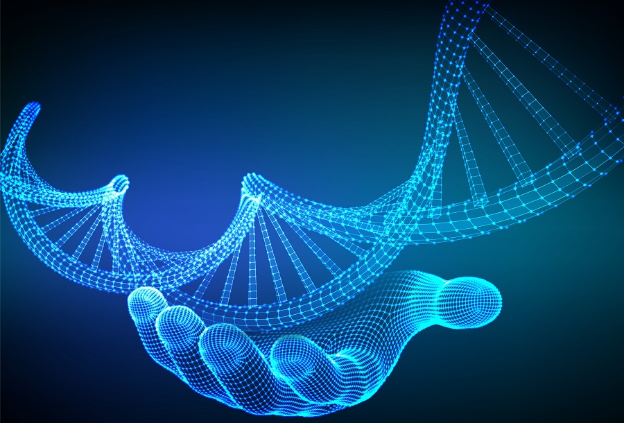 Человеческая ДНК: хранение и передача генетического кода