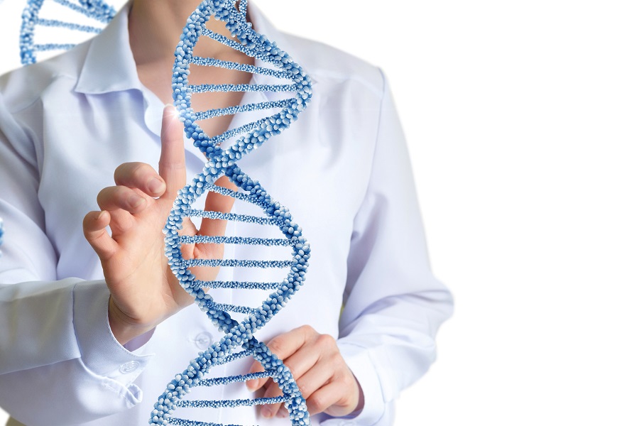 Человеческая ДНК: роль в наследственности и делении клеток