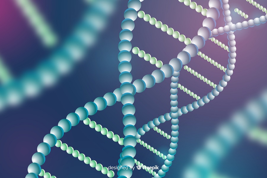 Человеческая ДНК: как изучают