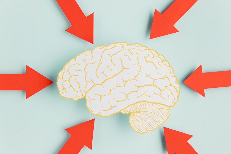 Окситоцин: где вырабатывается