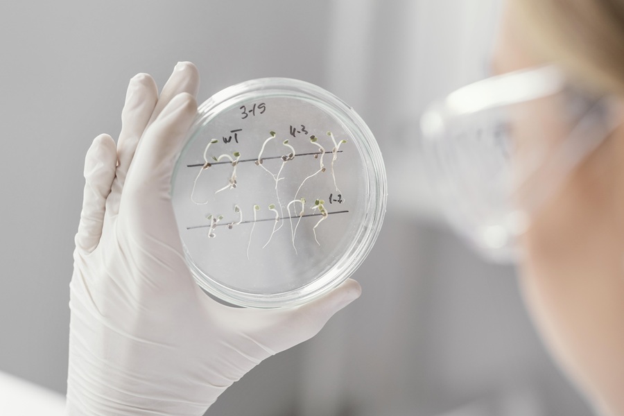 Технологии замедления старения Oisín Biotechnologies: стадии разработки