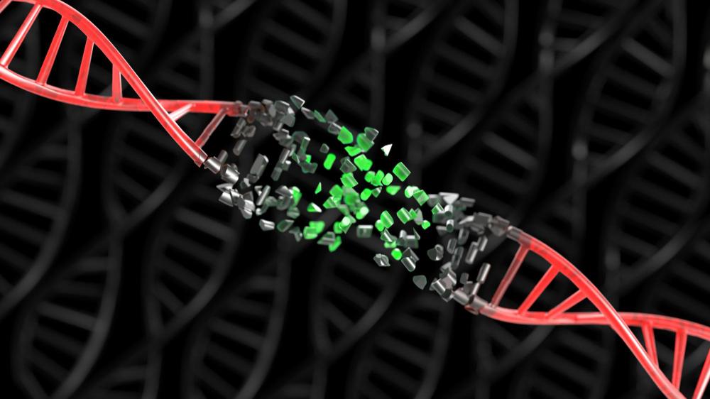 CRISPR — что это такое простыми словами Почему технология CRISPR может спасти миллионы жизней, и как она работает