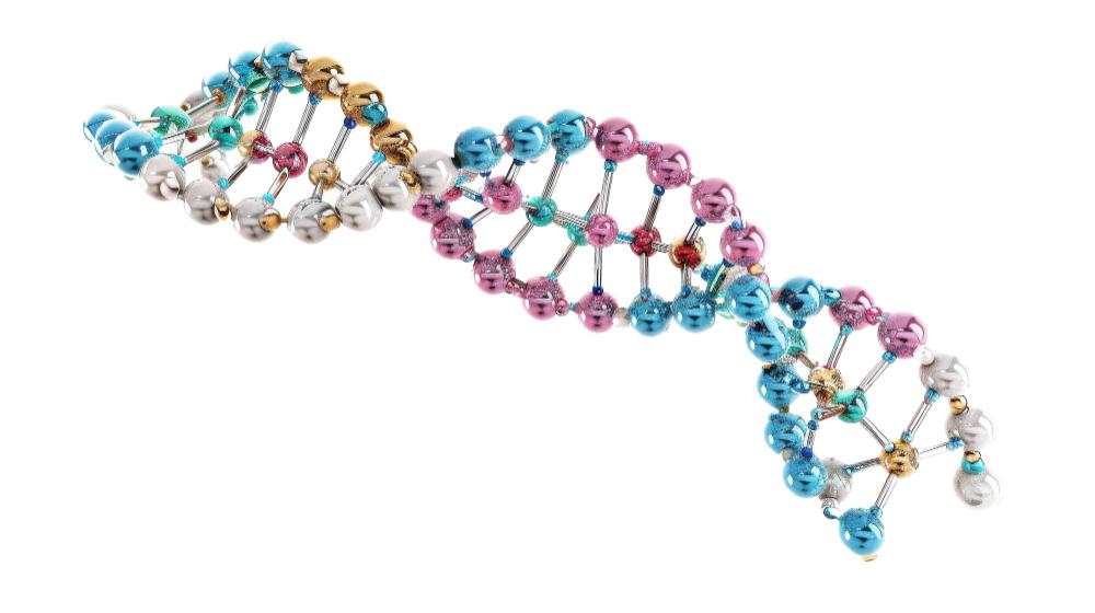 CRISPR Почему технология CRISPR может спасти миллионы жизней, и как она работает