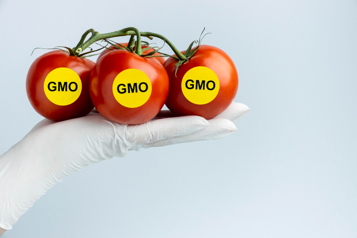 ГМО в продуктах: расшифровка, примеры и современные подходы в генной инженерии