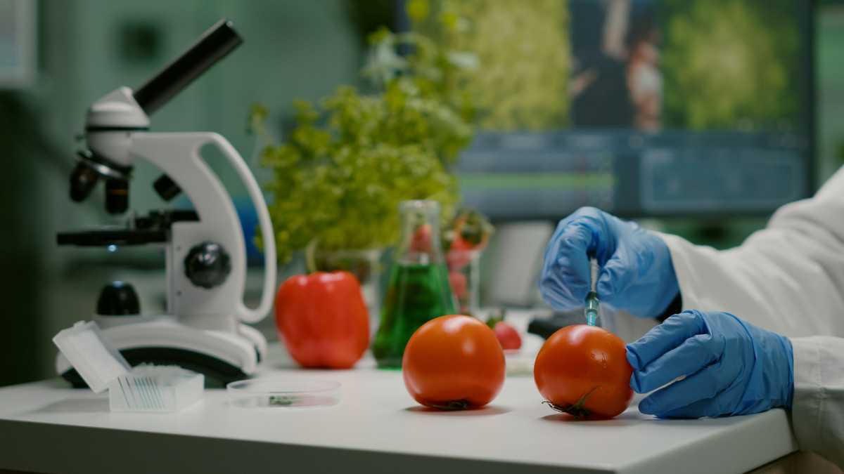ГМО в продуктах: как создаётся генетически модифицированная пища
