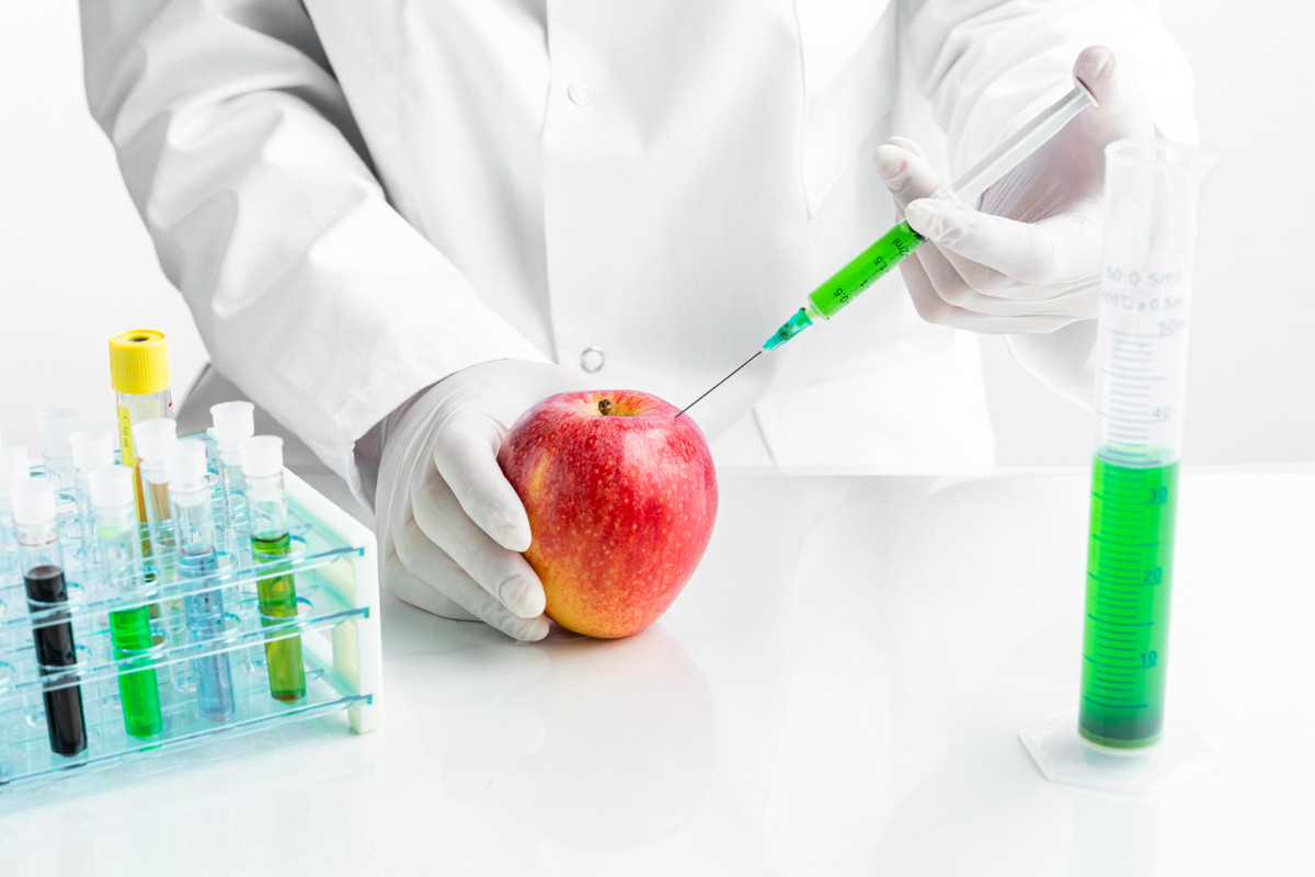 ГМО в продуктах: зачем создают и в чём польза или вред