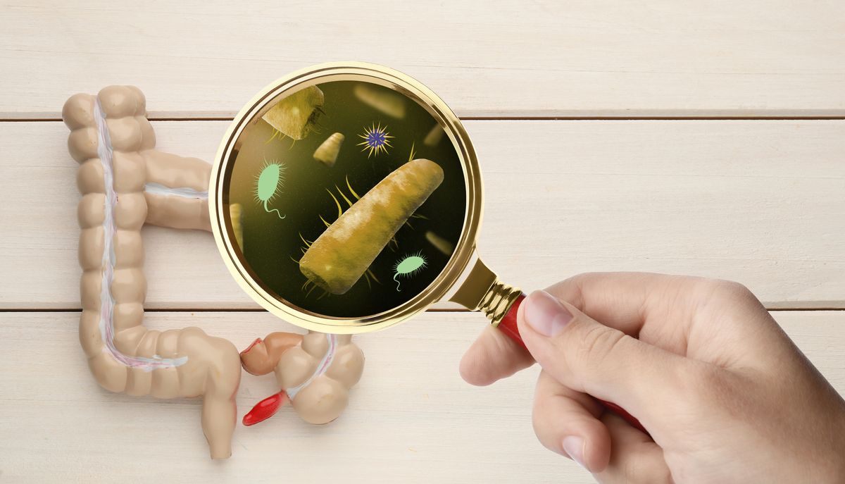 Гастрит: диагностика и лечение Helicobacter pylori, эрадикация инфекции