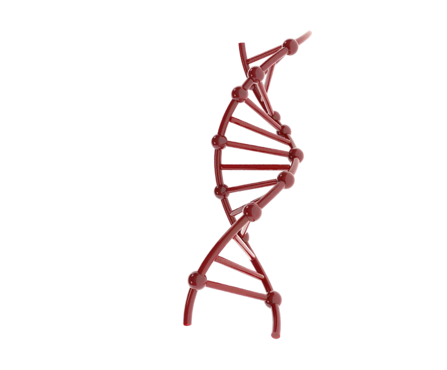 Epigenetic Age (метилирование ДНК / Horvath Clock) в Москве