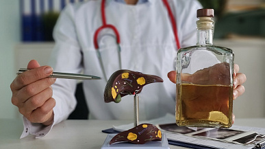 Влияние алкоголя на организм: как употребление спиртных напитков сокращает годы жизни