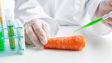 Что такое ГМО в продуктах: простое объяснение генетически модифицированной пищи