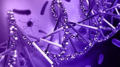 Передовые технологии замедления старения: Remedium Bio