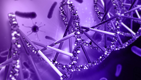 Передовые технологии замедления старения: Remedium Bio