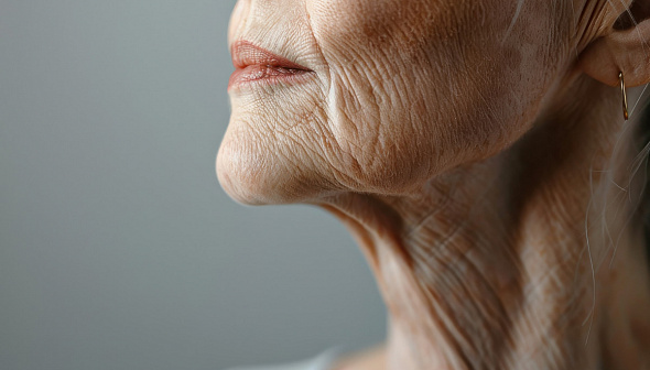 Передовые технологии замедления старения: Gero