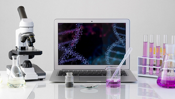 Передовые технологии замедления старения: Rubedo Life Sciences