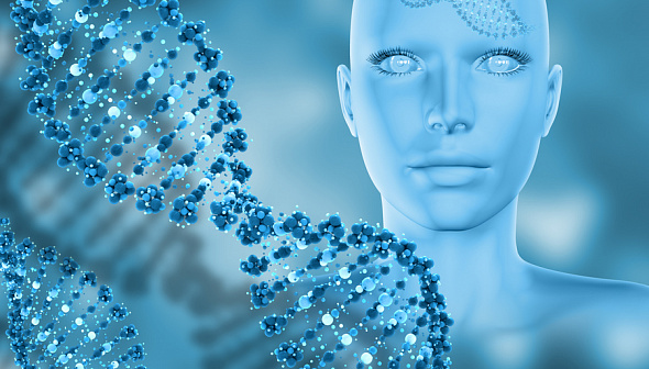 Что такое геном человека: основы генетики