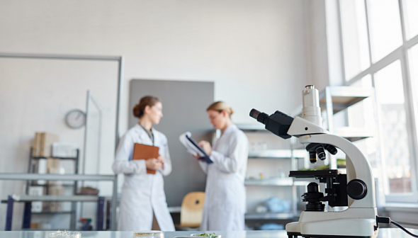 Передовые технологии замедления старения: Centenara Labs