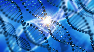 Передовые технологии замедления старения: Amplifier Therapeutics