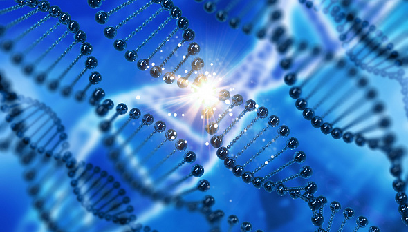 Передовые технологии замедления старения: Amplifier Therapeutics