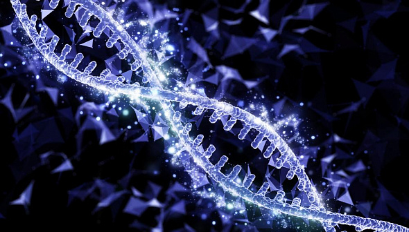 Почему технология CRISPR может спасти миллионы жизней, и как она работает