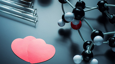 Окситоцин: гормон любви, который замедляет процессы старения