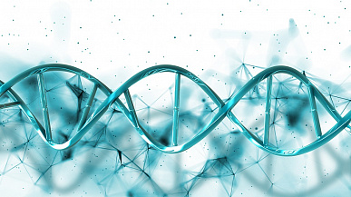 Человеческая ДНК: важные аспекты хромосом и их роль в организме