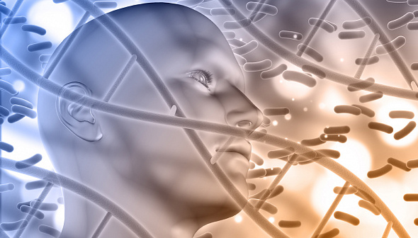 Передовые технологии замедления старения: Epirium Bio